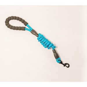 Doggy Tales Braided Rope Dog Leash, 5-ft long, Blue