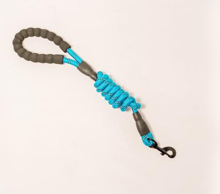 Show full view: Doggy Tales Braided Rope Dog Leash, 5-ft long, Blue slide 4 of 6
