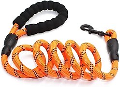Doggy Tales Braided Rope Dog Leash, 5-ft long, Orange slide 1 of 7