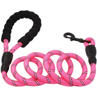 Doggy Tales Doggy Tales Braided Rope Dog Leash, 5-ft long, Pink