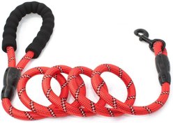 Doggy Tales Braided Rope Dog Leash, 5-ft long, Red