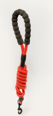 Show full view: Doggy Tales Braided Rope Dog Leash, 5-ft long, Red slide 3 of 10