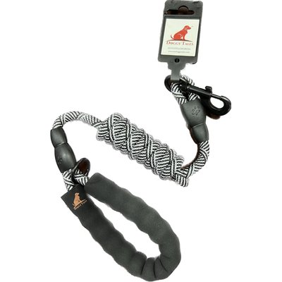 Doggy Tales Doggy Tales Braided Rope Nylon Reflective Dog Leash, 5-ft long, 3/8-in wide, Black/White