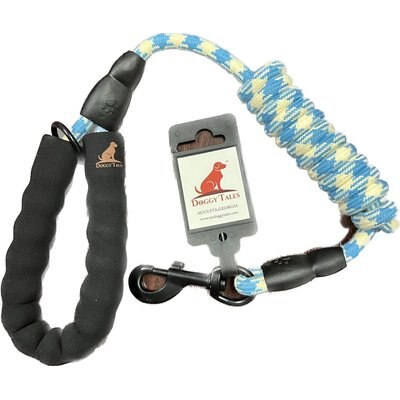 Doggy Tales Doggy Tales Braided Rope Nylon Reflective Dog Leash, 5-ft long, 3/8-in wide, Blue/White