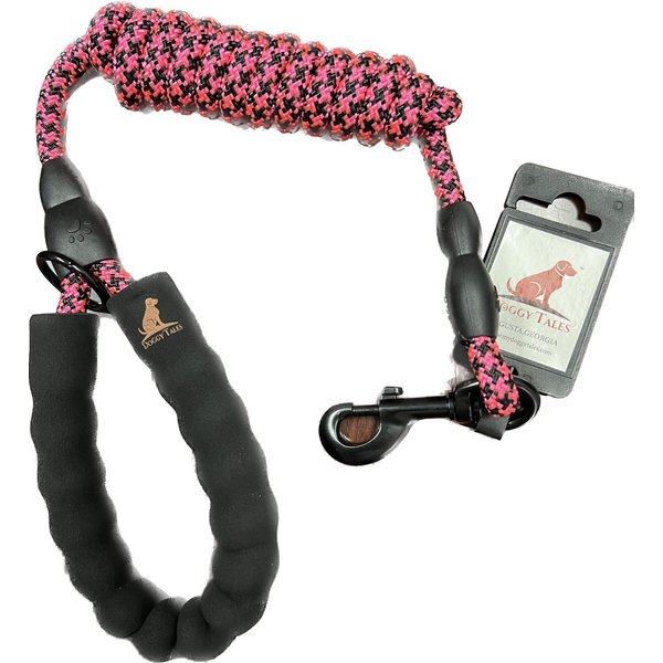 Doggy Tales Braided Rope Nylon Reflective Dog Leash, 5-ft long, 3/8-in wide