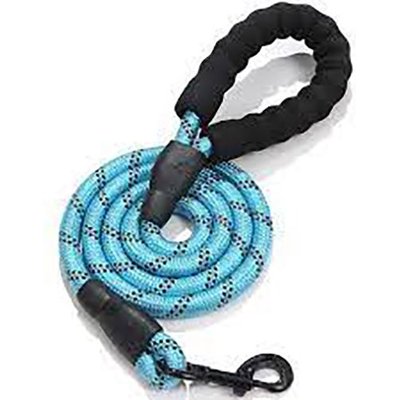 Doggy Tales Doggy Tales Braided Rope Nylon Reflective Training Dog Leash, 15-ft long, 3/8-in wide, Blue