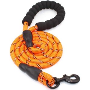 Doggy Tales Braided Rope Nylon Reflective Training Dog Leash, 15-ft long, 3/8-in wide, Orange