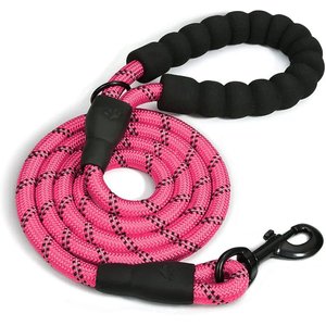 Doggy Tales Braided Rope Nylon Reflective Training Dog Leash, 15-ft long, 3/8-in wide, Pink
