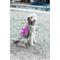 Show in main carousel: Doggy Tales Patented Classic Hart Dog Harness, Hot Pink, 35 slide 2 of 2