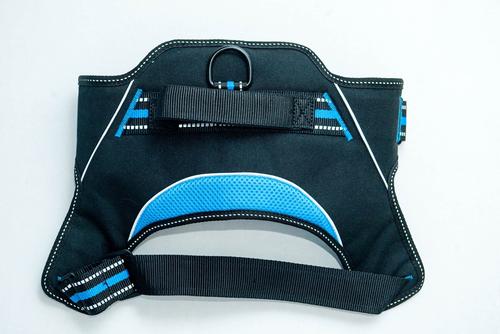 Show full view: Doggy Tales Patented Hart Dog Harness, Blue, 35 slide 3 of 5
