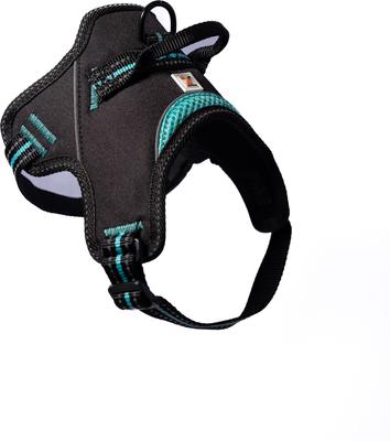 Show full view: Doggy Tales Patented Hart Dog Harness, Turquoise, 45 slide 3 of 5