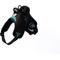 Show in main carousel: Doggy Tales Patented Hart Dog Harness, Turquoise, 60 slide 1 of 5