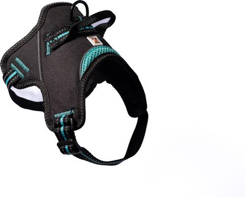 Show full view: Doggy Tales Patented Hart Dog Harness, Turquoise, 60 slide 2 of 5