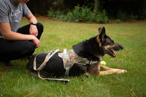 Show full view: Doggy Tales Patented Realtree Hart Dog Harness, Edge, 50 slide 4 of 6
