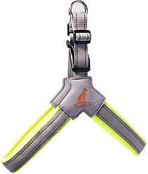 Doggy Tales Step In V Dog Harness, Lime, Medium
