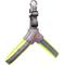 Show in main carousel: Doggy Tales Step In V Dog Harness, Lime, Medium slide 1 of 3