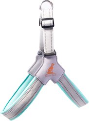 Doggy Tales Step In V Dog Harness, Turquoise, Small