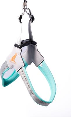 Show full view: Doggy Tales Step In V Dog Harness, Turquoise, Small slide 2 of 5