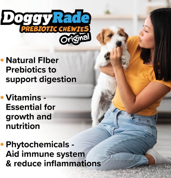 DoggyRade Prebiotic Chicken Soft & Chewy Dog Treats, 3.53-oz pouch