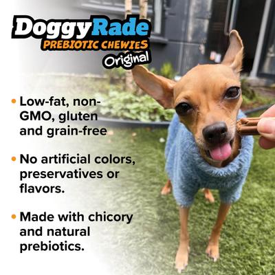 Show full view: DoggyRade Prebiotic Chicken Soft & Chewy Dog Treats, 3.53-oz pouch slide 8 of 9