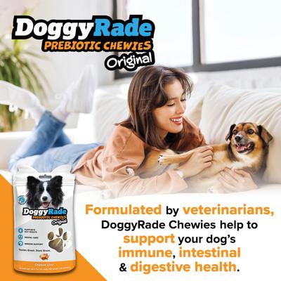 Show full view: DoggyRade Prebiotic Chicken Soft & Chewy Dog Treats, 3.53-oz pouch slide 6 of 9