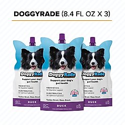 DoggyRade Prebiotic Drink Duck Flavored Liquid Digestive Supplement for Dogs, 250-mL pouch, case of 3