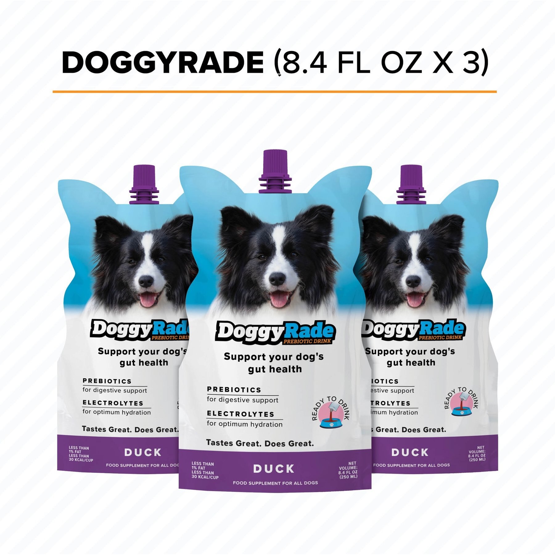 DoggyRade Prebiotic Drink Duck Flavored Liquid Digestive Supplement for Dogs, 250-mL pouch, case of 3