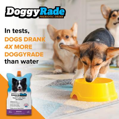 Show full view: DoggyRade Prebiotic Drink Duck Flavored Liquid Digestive Supplement for Dogs, 500-mL pouch, case of 6 slide 6 of 7