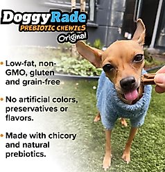 DoggyRade Prebiotic Peanut Butter & Banana Soft & Chewy Dog Treats, 3.53-oz pouch slide 2 of 8