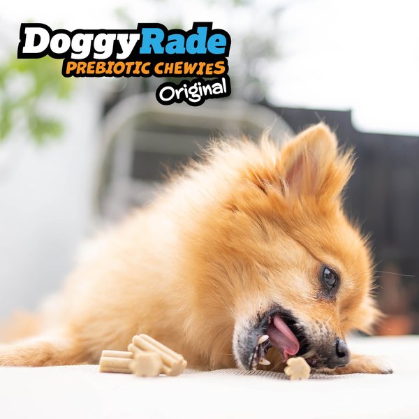 DoggyRade Prebiotic Peanut Butter & Banana Soft & Chewy Dog Treats, 3.53-oz pouch