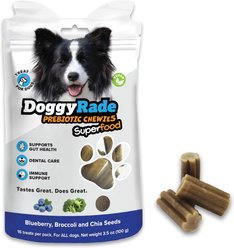 DoggyRade Prebiotic Superfood Blueberry, Broccoli & Chia Seed Soft & Chewy Dog Treats, 3.53-oz pouch