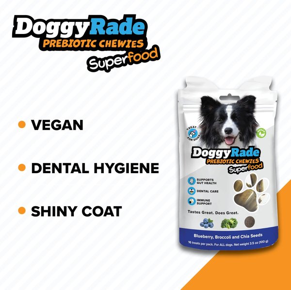 DoggyRade Prebiotic Superfood Blueberry, Broccoli & Chia Seed Soft & Chewy Dog Treats, 3.53-oz pouch