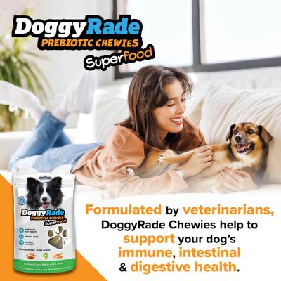 Show full view: DoggyRade Prebiotic Superfood Chicken Liver, Apple & Carrot Soft & Chewy Dog Treats, 3.53-oz pouch slide 6 of 9