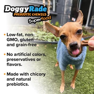 Show full view: DoggyRade Prebiotic Superfood Chicken Liver, Sweet Potato & Pumpkin Soft & Chewy Dog Treats, 3.53-oz pouch slide 8 of 9