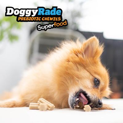 Show full view: DoggyRade Prebiotic Superfood Cranberry & Pumpkin Soft & Chewy Dog Treats, 3.53-oz pouch slide 5 of 9