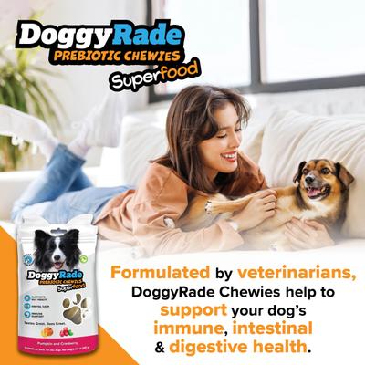 Show full view: DoggyRade Prebiotic Superfood Cranberry & Pumpkin Soft & Chewy Dog Treats, 3.53-oz pouch slide 6 of 9