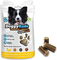 DoggyRade Prebiotic Superfood Peanut Butter, Banana, Chia Seed & Flax Seed Soft & Chewy Dog Treats, 3.53-oz pouch