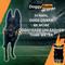Show in main carousel: DoggyRade Unleashed Hydration + Prebiotics Sport Drink Chicken Flavored Digestive Supplement for Dogs, 8.4-oz pouch slide 5 of 8