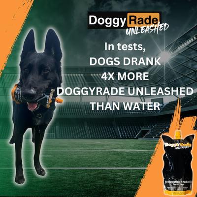 Show full view: DoggyRade Unleashed Hydration + Prebiotics Sport Drink Chicken Flavored Digestive Supplement for Dogs, 8.4-oz pouch slide 5 of 8