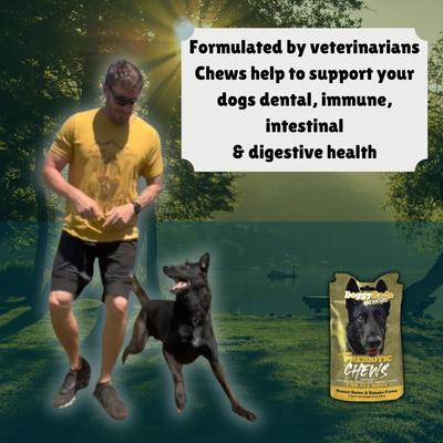 Show full view: DoggyRade Unleashed Prebiotic Chews Peanut Butter & Banana Flavored Digestive Supplement for Dogs, 8 count slide 5 of 7