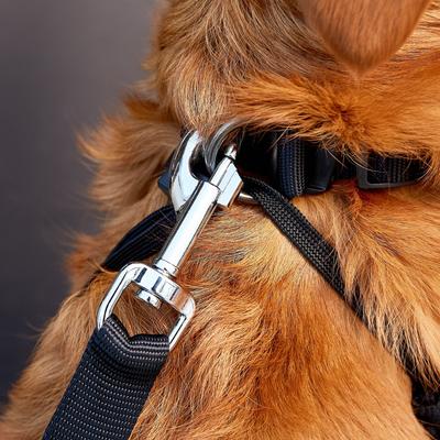 Show full view: Dogit Car Safety Dog Belt slide 2 of 9