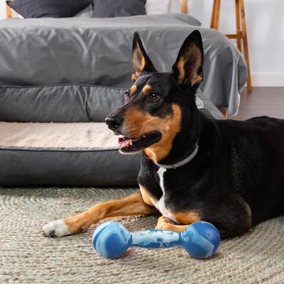 Show full view: Dogline Dumbbell Dog Water Toy, Blue, 7.5-in slide 7 of 8