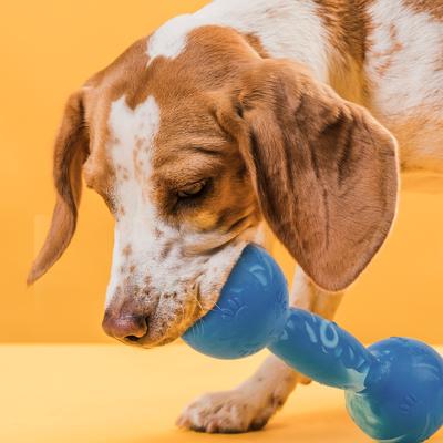 Show full view: Dogline Dumbbell Dog Water Toy, Blue, 7.5-in slide 6 of 8