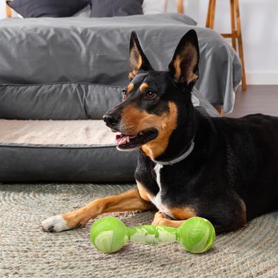 Show full view: Dogline Dumbbell Dog Water Toy, Green, 5.5-in slide 8 of 9