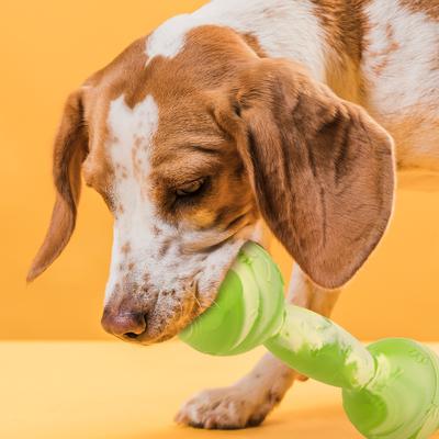 Show full view: Dogline Dumbbell Dog Water Toy, Green, 7.5-in slide 6 of 8