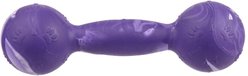 Dogline Dumbbell Dog Water Toy, Purple, 5.5-in