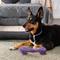 Show in main carousel: Dogline Dumbbell Dog Water Toy, Purple, 5.5-in slide 7 of 8