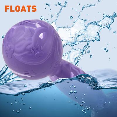 Show full view: Dogline Dumbbell Dog Water Toy, Purple, 5.5-in slide 5 of 8