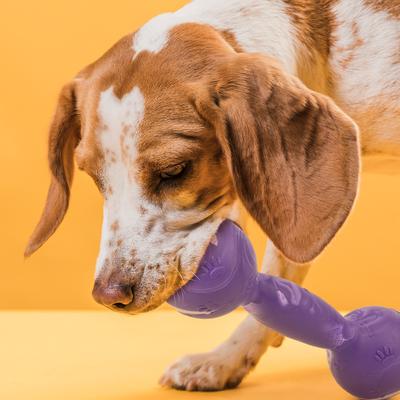 Show full view: Dogline Dumbbell Dog Water Toy, Purple, 7.5-in slide 6 of 8