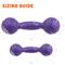 Show in main carousel: Dogline Dumbbell Dog Water Toy, Purple, 7.5-in slide 2 of 8